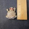 Cute gold-tone Toad or Frog solid perfume container red eyes opens like locket - Image 3