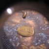Neat Queen Elizabeth 3 pence coin earrings Houston TX designer Jo Mars - Image 2