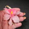 Beautiful vintage hard plastic Iris Flower brooch pink & gold-tone large 3" MINT