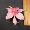 Beautiful vintage hard plastic Iris Flower brooch pink & gold-tone large 3" MINT - Image 2