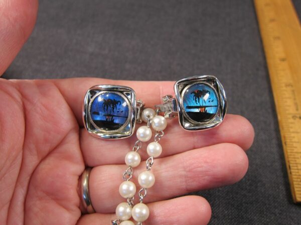Beautiful vintage real butterfly wing ocean palm tree scene sweater clips MINT