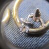 Wow! Gorgeous Peter Bram 14K gold & 925 humminbird hoop earrings 3.1g - Image 3