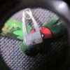 Beautiful lightweight Jabebo dragonfly earrings pierced hooks - Image 4